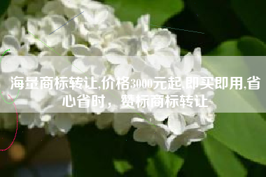 海量商标转让,价格3000元起,即买即用,省心省时，赞标商标转让
