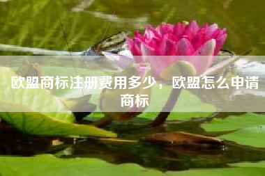 欧盟商标注册费用多少,欧盟怎么申请商标 欧盟商标注册费用多少,欧盟怎么申请商标