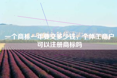 一个商标一年要交多少钱,个体工商户可以注册商标吗 一个商标一年要交多少钱,个体工商户可以注册商标吗