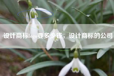 设计商标logo要多少钱，设计商标的公司