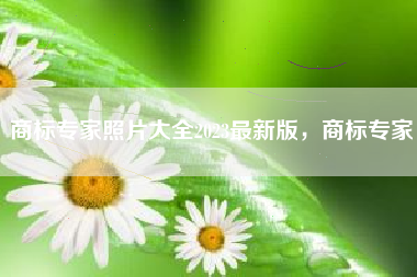 商标专家照片大全2023最新版，商标专家