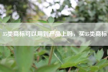 35类商标可以用到产品上吗，买35类商标