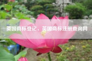 英国商标登记,英国商标注册查询网 英国商标登记,英国商标注册查询网