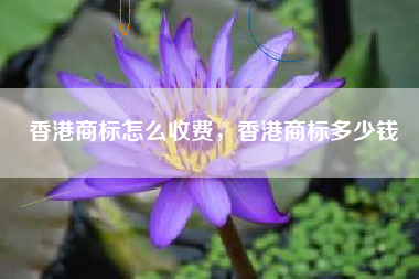香港商标怎么收费，香港商标多少钱