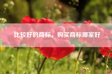 比较好的商标，购买商标哪家好