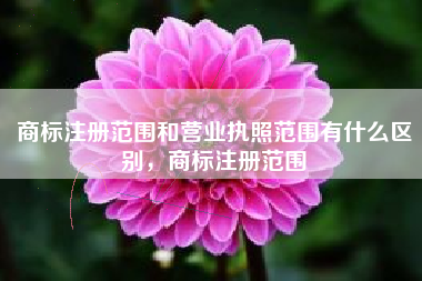 商标注册范围和营业执照范围有什么区别,商标注册范围 商标注册范围和营业执照范围有什么区别,商标注册范围