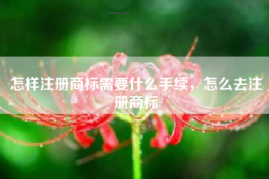 怎样注册商标需要什么手续,怎么去注册商标 怎样注册商标需要什么手续,怎么去注册商标