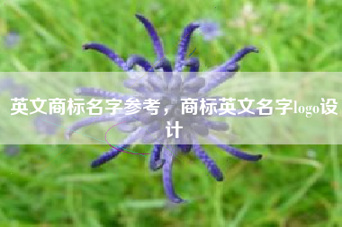 英文商标名字参考，商标英文名字logo设计