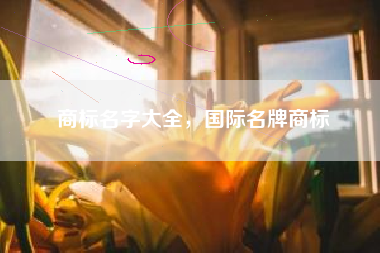 商标名字大全，国际名牌商标