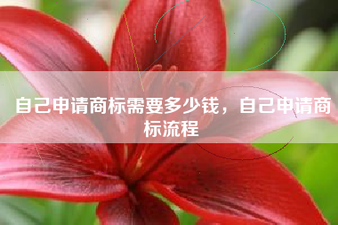 自己申请商标需要多少钱，自己申请商标流程