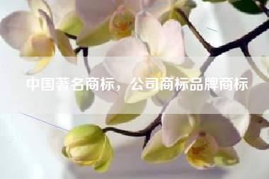 中国著名商标，公司商标品牌商标