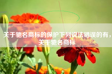 关于驰名商标的保护下列说法错误的有，关于驰名商标