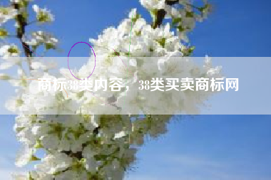 商标38类内容，38类买卖商标网