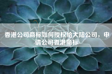 香港公司商标如何授权给大陆公司，申请公司香港商标