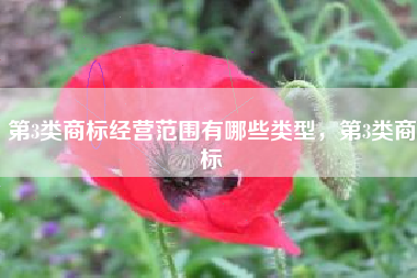第3类商标经营范围有哪些类型，第3类商标
