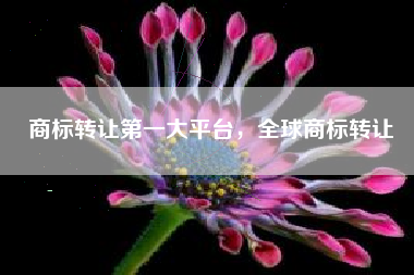 商标转让第一大平台，全球商标转让