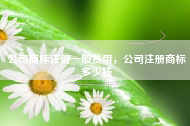 公司商标注册一般费用,公司注册商标多少钱 公司商标注册一般费用,公司注册商标多少钱