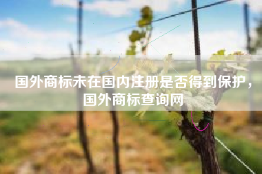 国外商标未在国内注册是否得到保护,国外商标查询网 国外商标未在国内注册是否得到保护,国外商标查询网