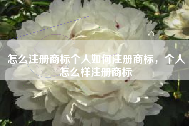 怎么注册商标个人如何注册商标,个人怎么样注册商标 怎么注册商标个人如何注册商标,个人怎么样注册商标
