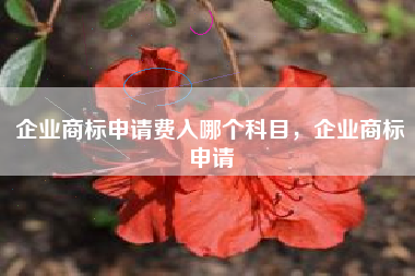 企业商标申请费入哪个科目，企业商标申请