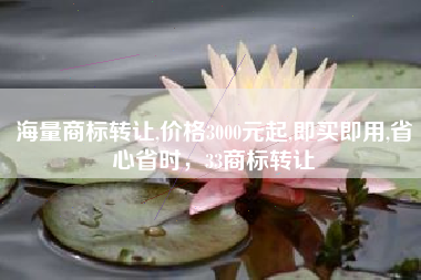 海量商标转让,价格3000元起,即买即用,省心省时，33商标转让