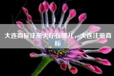 大连商标注册大厅在哪儿,大连注册商标 大连商标注册大厅在哪儿,大连注册商标