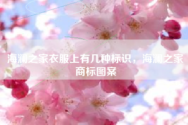 海澜之家衣服上有几种标识，海澜之家商标图案