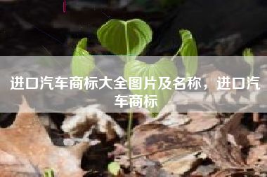 进口汽车商标大全图片及名称，进口汽车商标