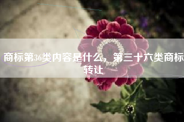 商标第36类内容是什么，第三十六类商标转让