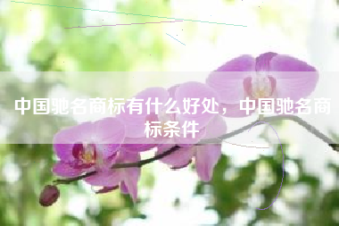 中国驰名商标有什么好处，中国驰名商标条件