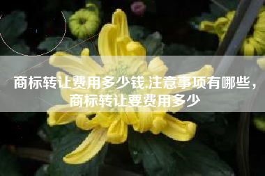 商标转让费用多少钱,注意事项有哪些，商标转让要费用多少