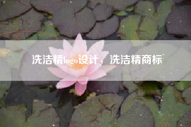洗洁精logo设计，洗洁精商标