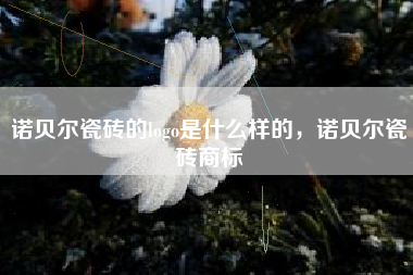 诺贝尔瓷砖的logo是什么样的，诺贝尔瓷砖商标
