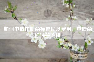 如何申请注册商标流程及费用,申请商标注册流程 如何申请注册商标流程及费用,申请商标注册流程