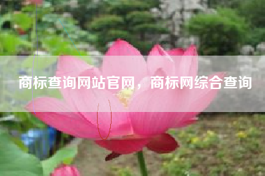 商标查询网站官网，商标网综合查询