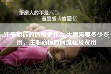 注册商标的流程是什么,大概需要多少费用,注册商标时间流程及费用 注册商标的流程是什么,大概需要多少费用,注册商标时间流程及费用