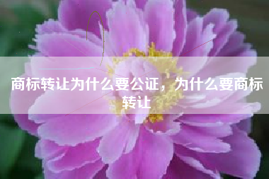 商标转让为什么要公证，为什么要商标转让