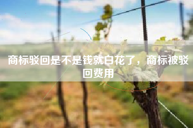 商标驳回是不是钱就白花了，商标被驳回费用