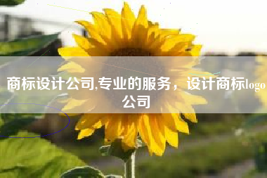 商标设计公司,专业的服务，设计商标logo公司