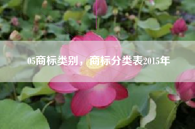 05商标类别，商标分类表2015年