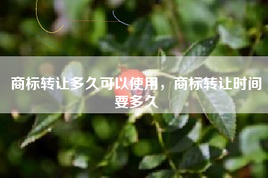 商标转让多久可以使用，商标转让时间要多久
