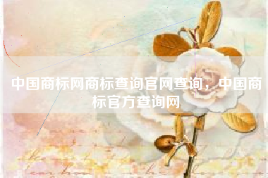 中国商标网商标查询官网查询，中国商标官方查询网