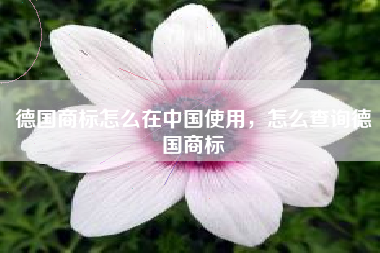 德国商标怎么在中国使用，怎么查询德国商标