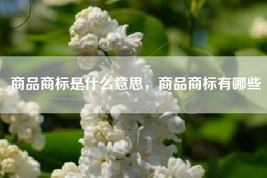 商品商标是什么意思，商品商标有哪些
