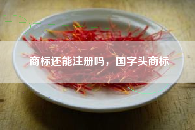 商标还能注册吗,国字头商标 商标还能注册吗,国字头商标