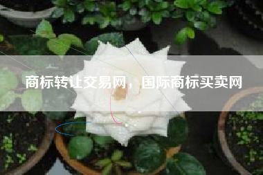 商标转让交易网，国际商标买卖网
