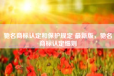 驰名商标认定和保护规定 最新版，驰名商标认定细则