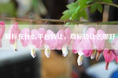 商标在什么平台转让，商标转让去哪好