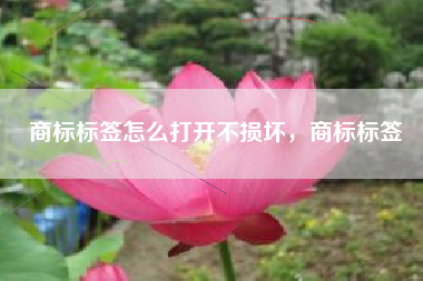 商标标签怎么打开不损坏，商标标签
