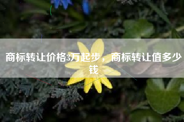 商标转让价格3万起步，商标转让值多少钱